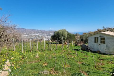 Villa i Gualchos, Granada, Gualchos - € 535.000 | Ref: 85396 - foto 40